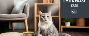 Comment faire une réclamation d'assurance