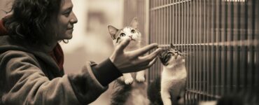 Comment fonctionne le parrainage en refuge?