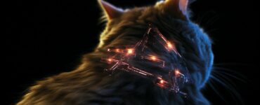 Comment fonctionne une puce électronique pour chat?