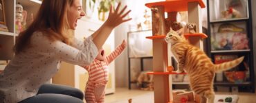 Gérer un chat qui mord pendant le jeu