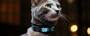 Les avantages des puces électroniques NFC pour chats
