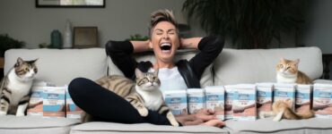 Les bénéfices des chats à poil court pour les personnes allergiques