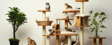 Les critères pour choisir un arbre à chat robuste