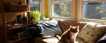 Les premiers jours : routines et repères