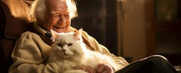 Les races de chats recommandées pour les personnes âgées