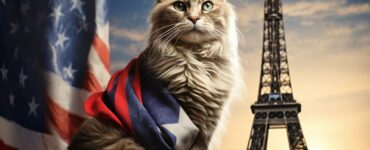 L'origine et l'évolution du Maine Coon