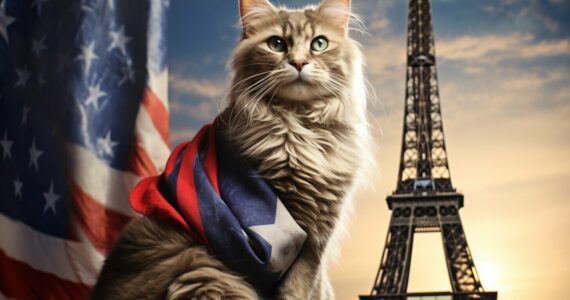 L'origine et l'évolution du Maine Coon