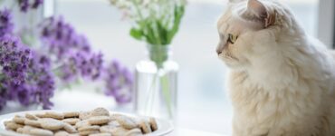 Recettes de friandises maison saines
