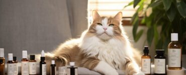 Suppléments pour chats âgés