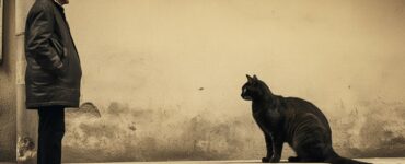 Utiliser la voix pour éduquer un chat