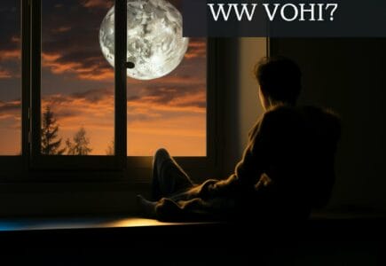 chat qui miaule la nuit