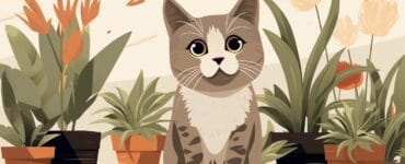 chat qui tousse