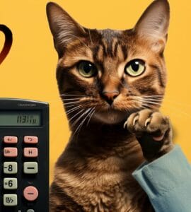 comment calculer l'âge d'un chat