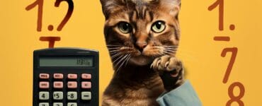 comment calculer l'âge d'un chat