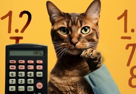 comment calculer l'âge d'un chat