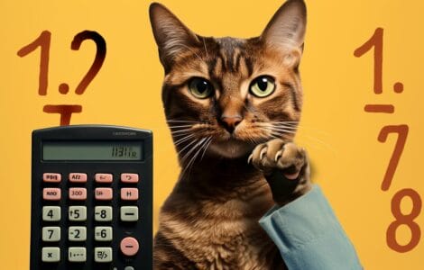 comment calculer l'âge d'un chat