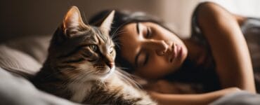 chat qui dort sur son maitre