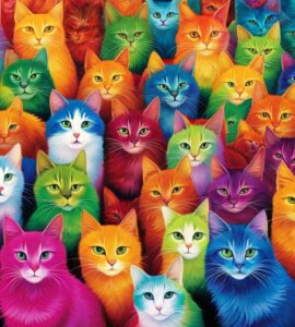 couleur chat signification spirituelle