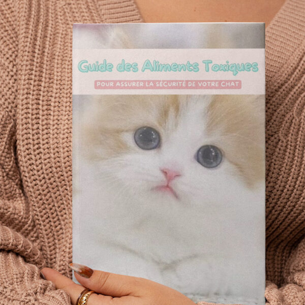 Guide Complet Des Aliments Toxiques Pour Les Chats
